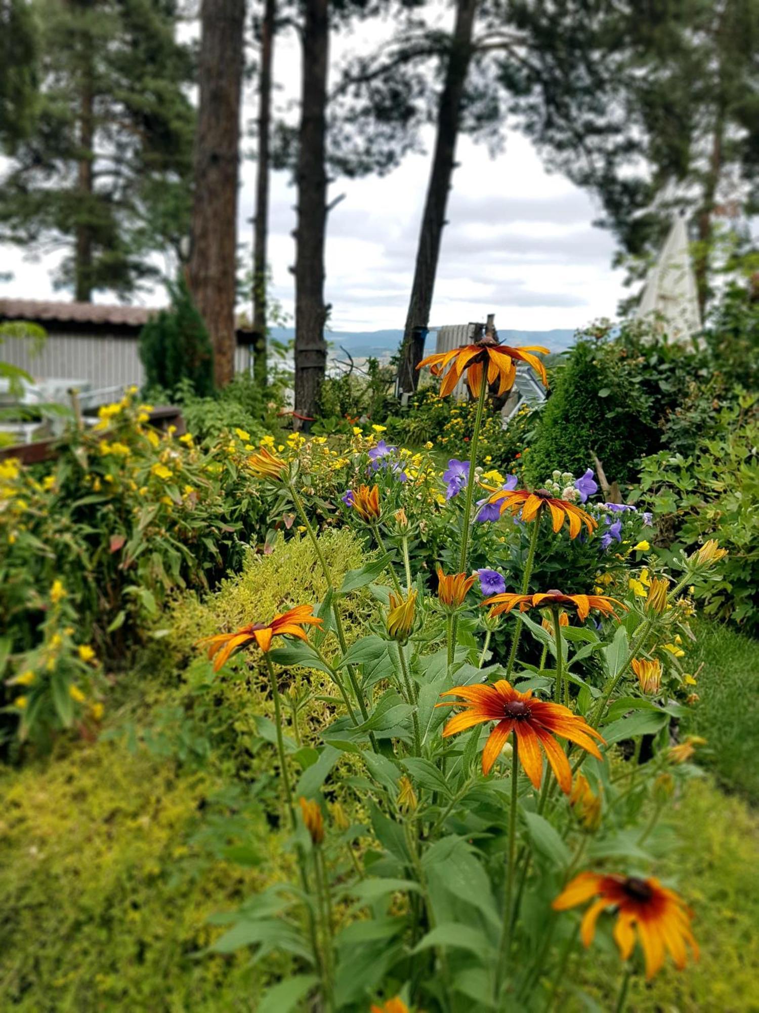 Vila Kalvachevi Tsigov Chark Esterno foto